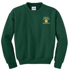 St. Cassian Youth Crewneck Sweatshirt