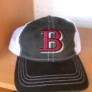 Broadneck Bruins Cap