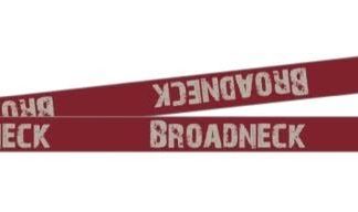 Broadneck Bruins Lanyard
