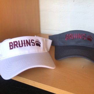 Broadneck Bruins Visor